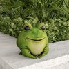Nature Spring Frog Statue, Resin Chubby Animal Figurine for Outdoor Lawn and Garden Décor, Flower Beds, Backyards 701621GRM